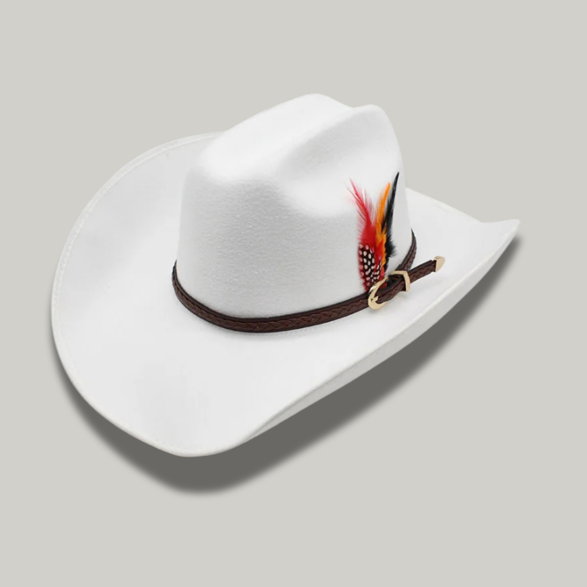 Chapeau de Cowboy Blanc à Plume