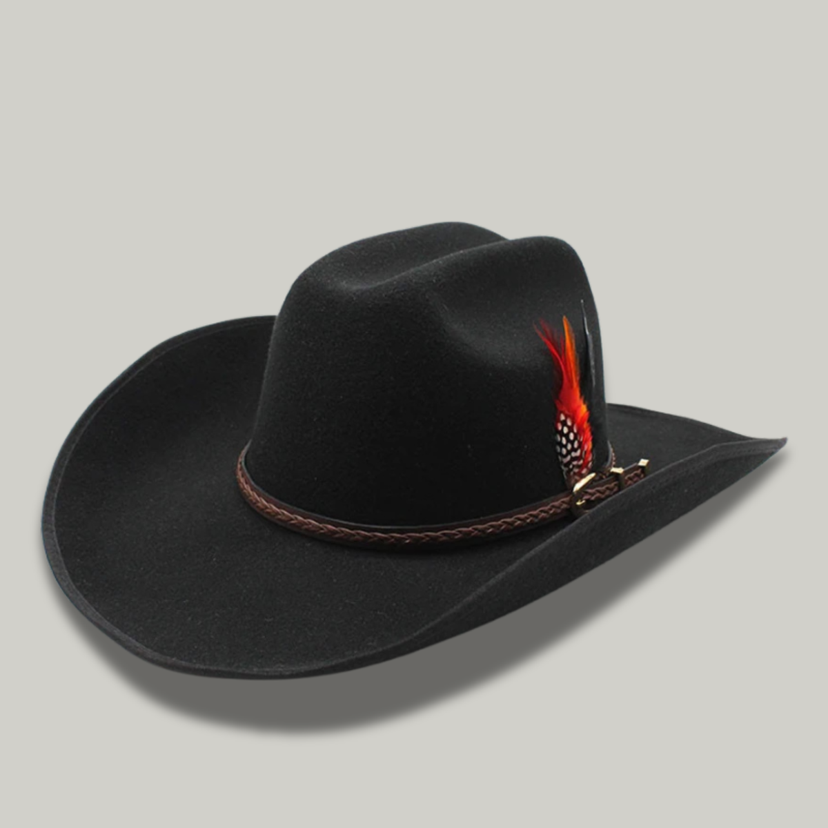 Chapeau de Cowboy Noir à Plume