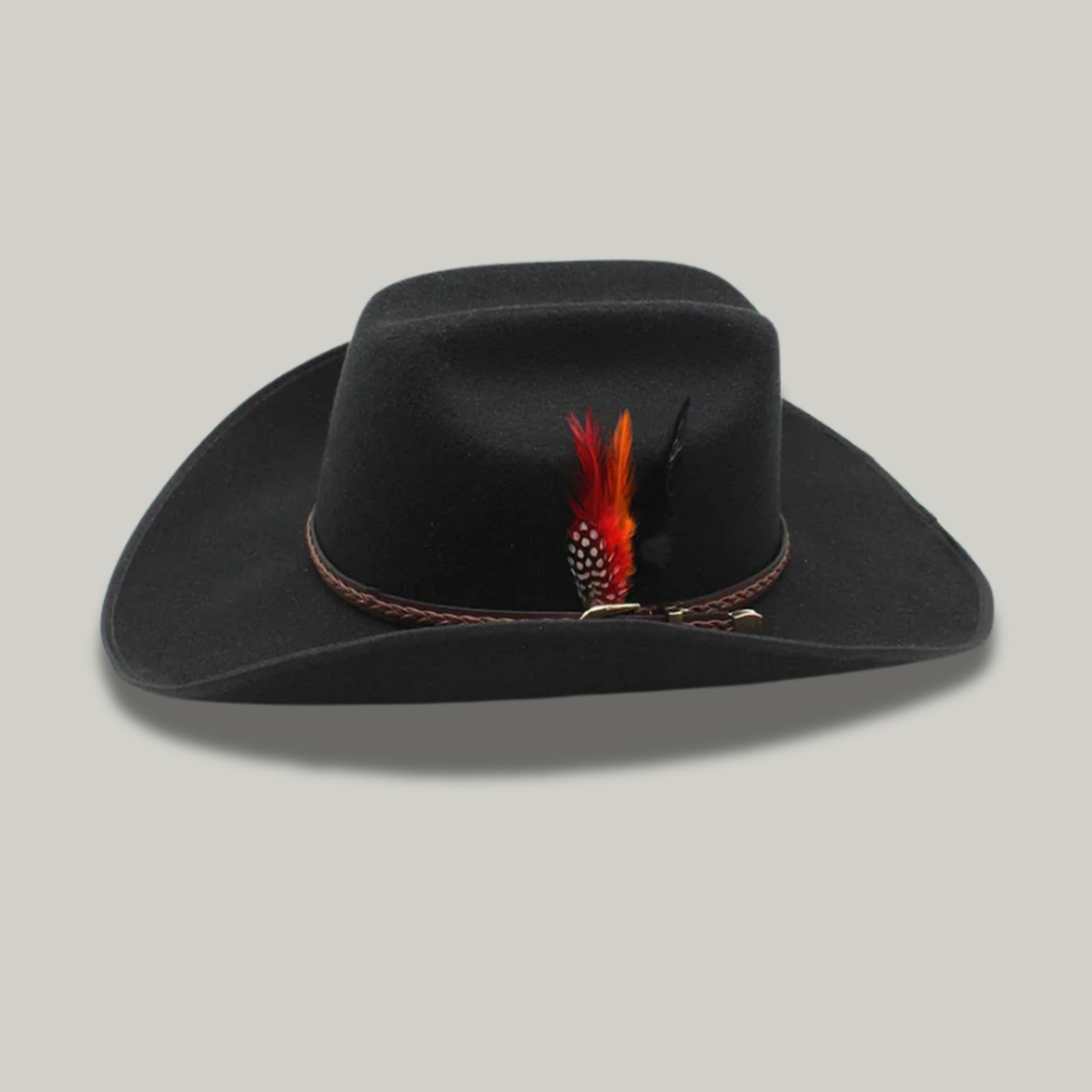Chapeau de Cowboy Noir à Plume